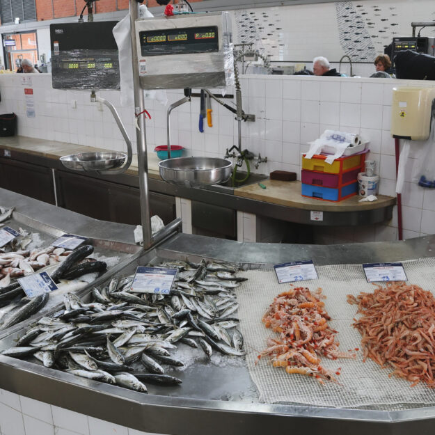 Gaivota Destemida - Comercio de Peixe